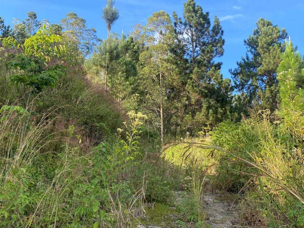 Terreno en Baruta, Caracas