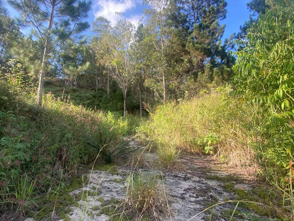 Terreno en Baruta, Caracas