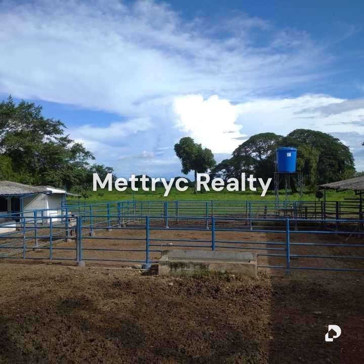 Farm in San Carlos – 12
