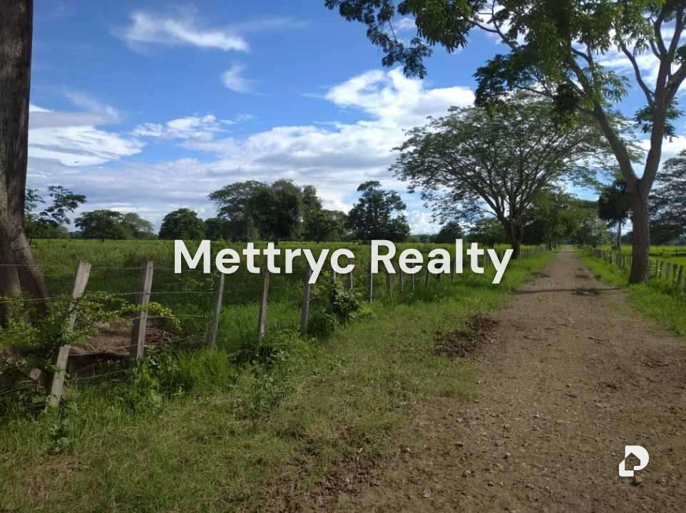 Farm in San Carlos – 10