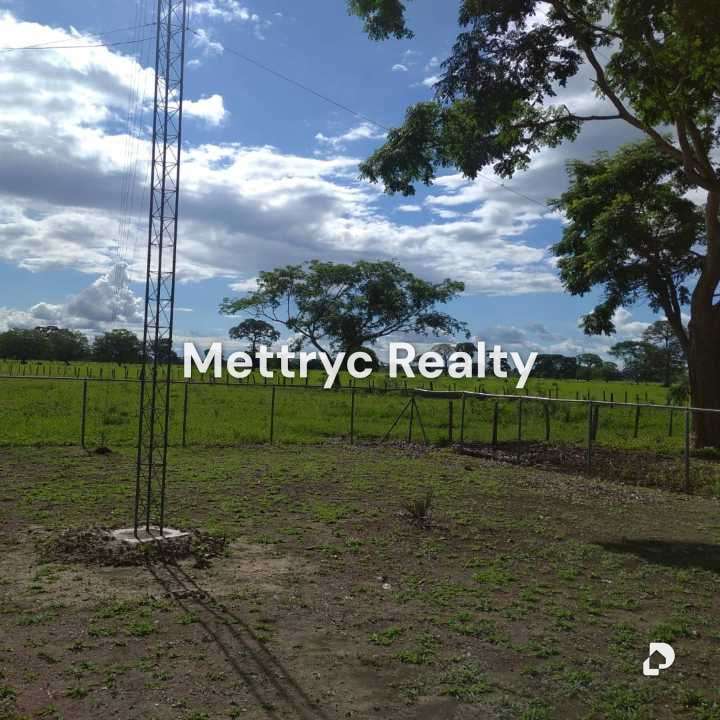 Farm in San Carlos – 3
