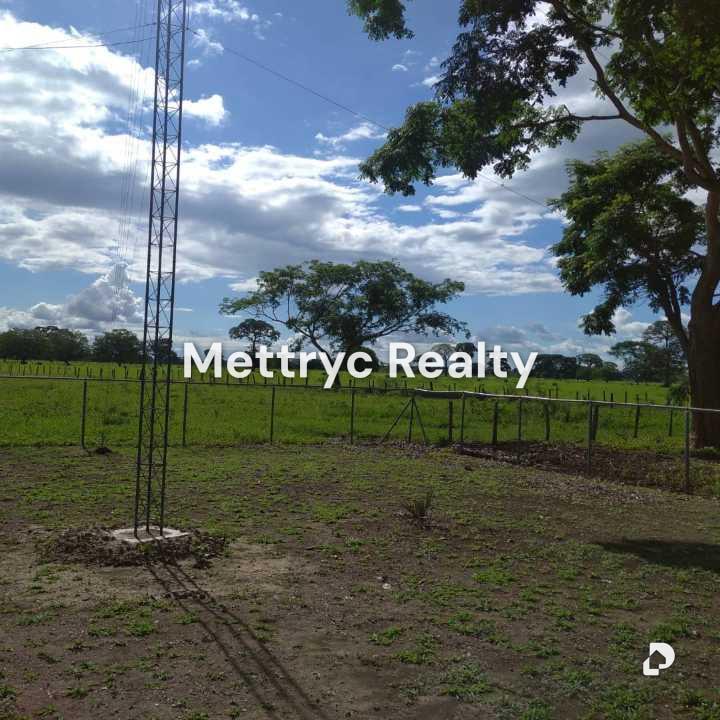 Farm in San Carlos – 3