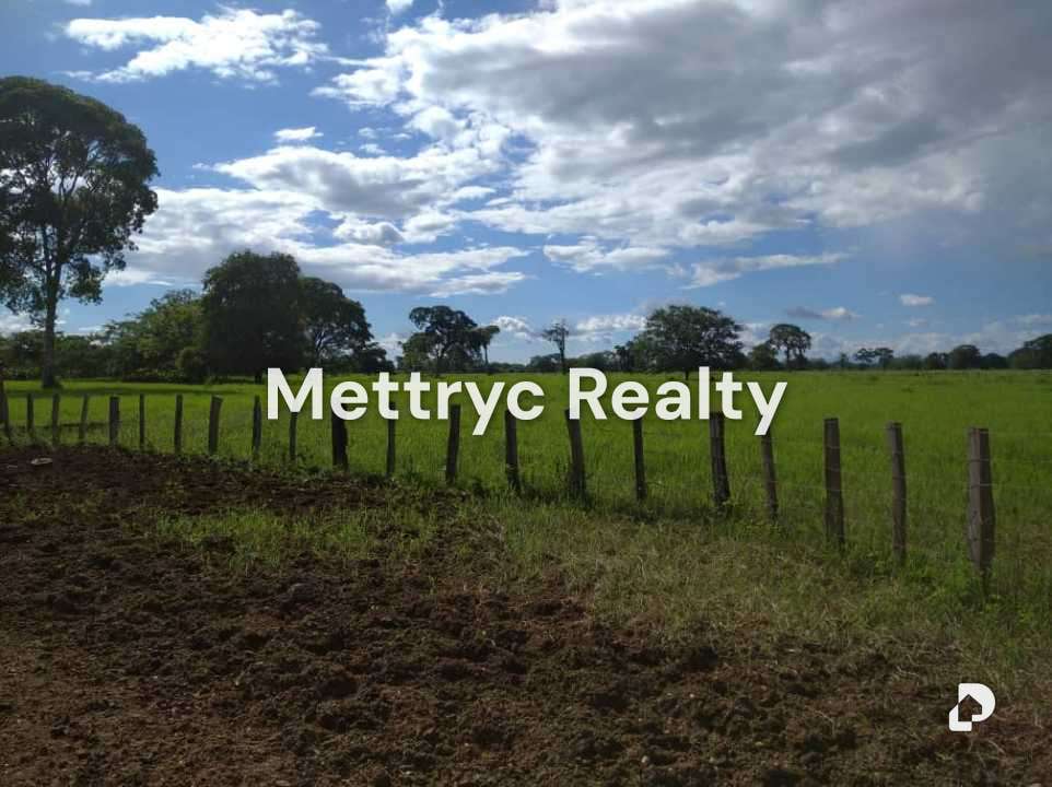Farm in San Carlos – 7