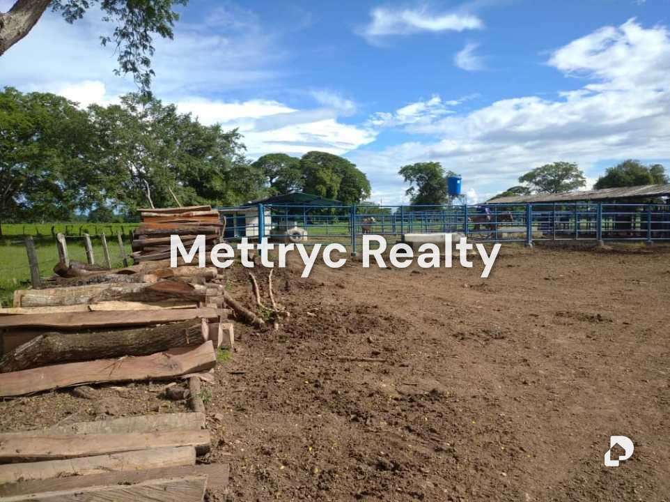 Farm in San Carlos – 8