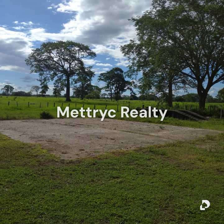 Farm in San Carlos – 4