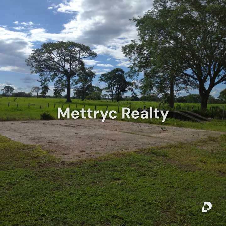Farm in San Carlos – 4