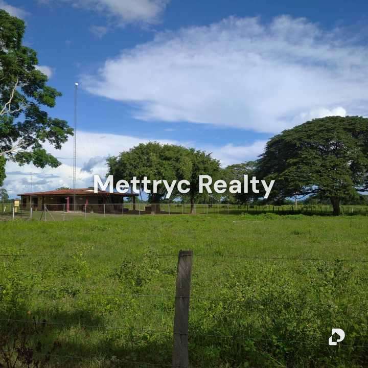 Farm in San Carlos – 9