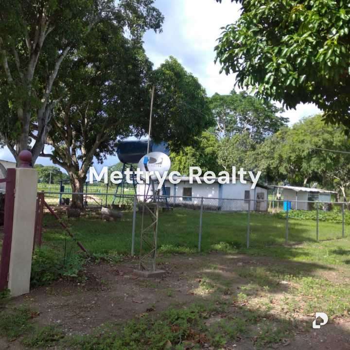 Farm in San Carlos – 14
