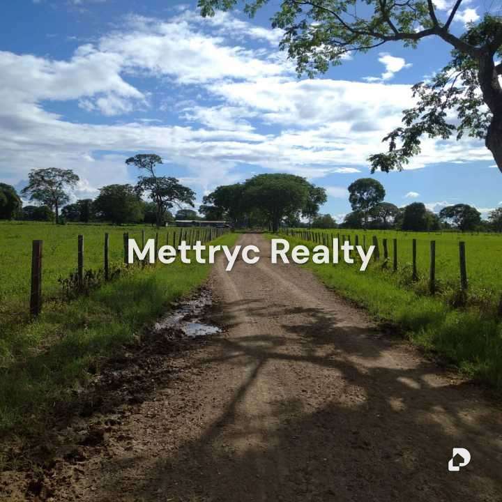 Farm in San Carlos – 2