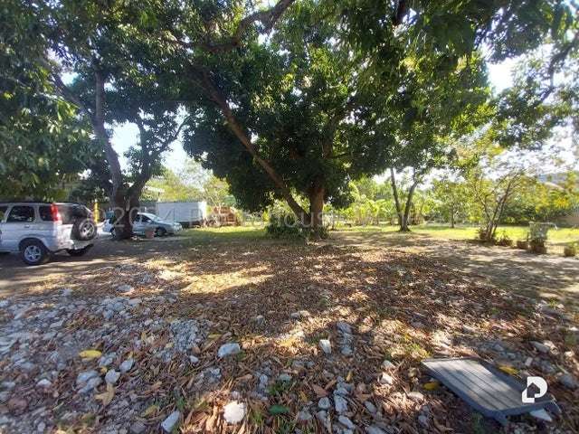 Local comercial en Naguanagua – 16