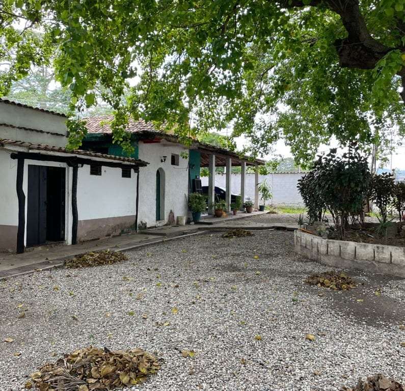 Local comercial en Barquisimeto - 1