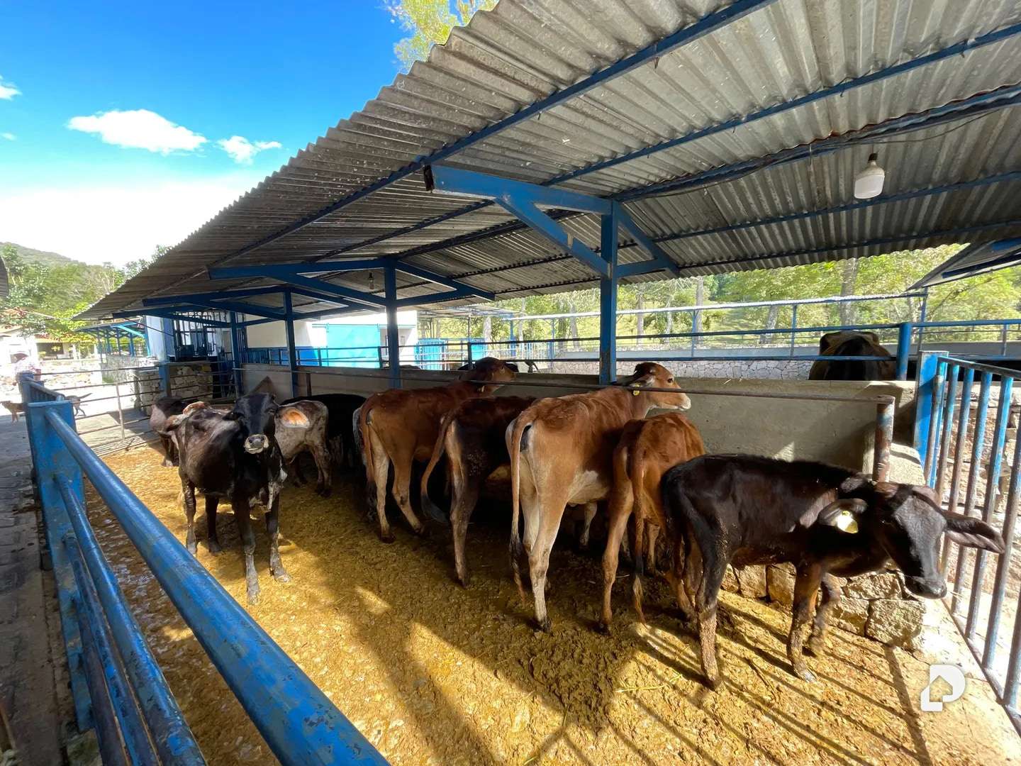 Finca en La Chorrera, Mérida – 14