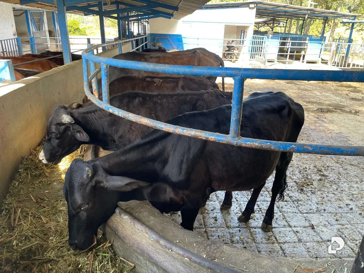 Finca en La Chorrera, Mérida – 15