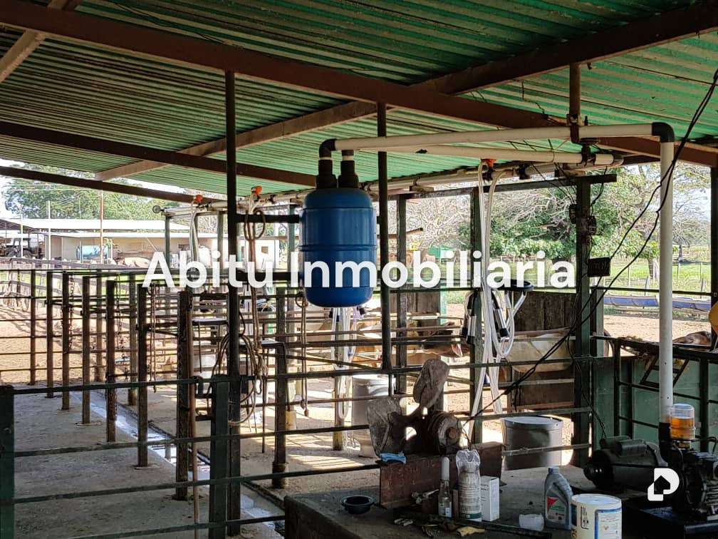 Finca en San Juan de los Morros – 18