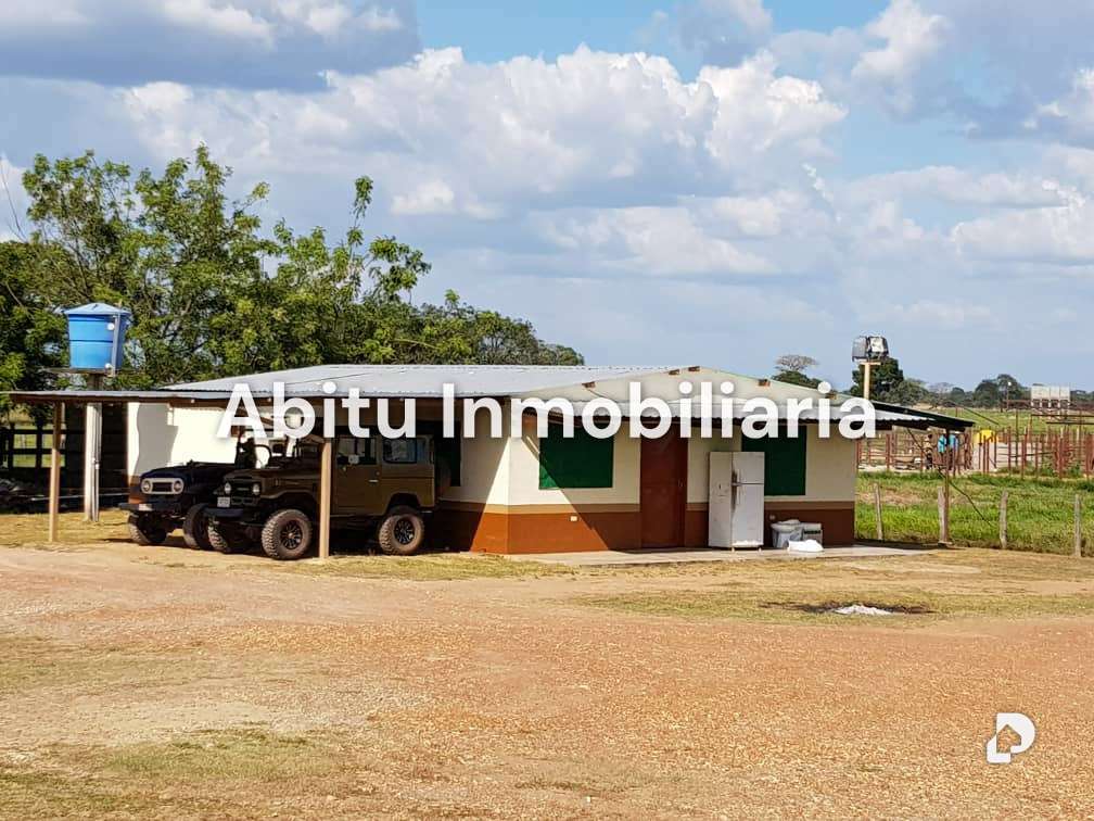 Finca en San Juan de los Morros – 10