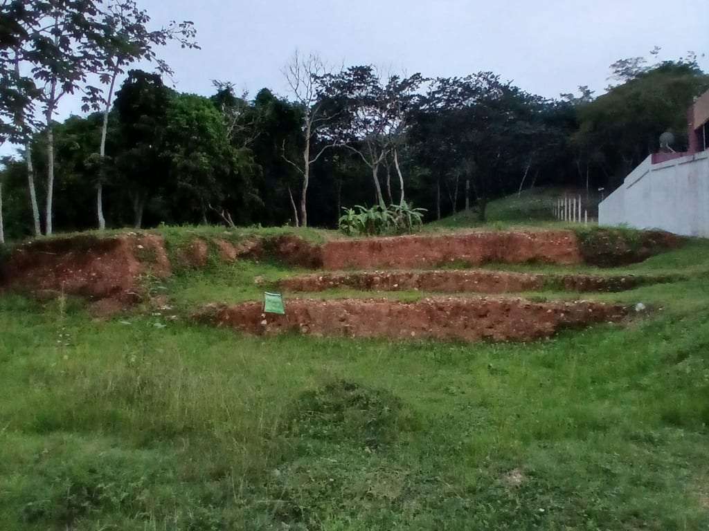 Terreno en Urbanización El Bosque, Valencia - 1