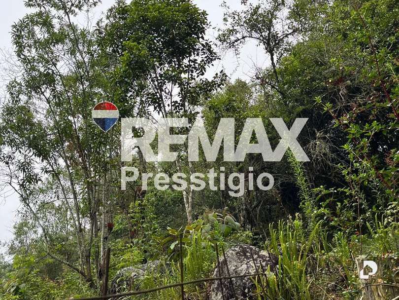 Terreno en Parroquia Gonzalo Picón Febres, El Valle – 3
