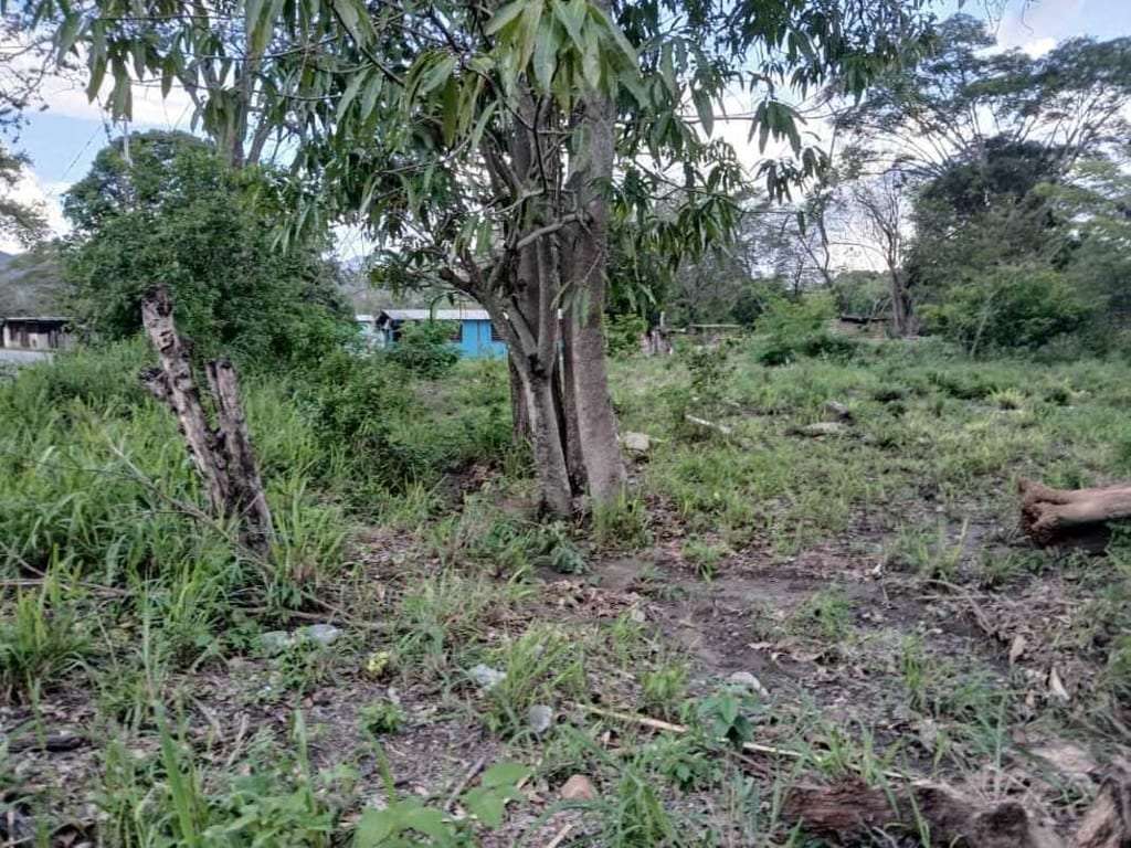 Terreno en Barquisimeto - 1