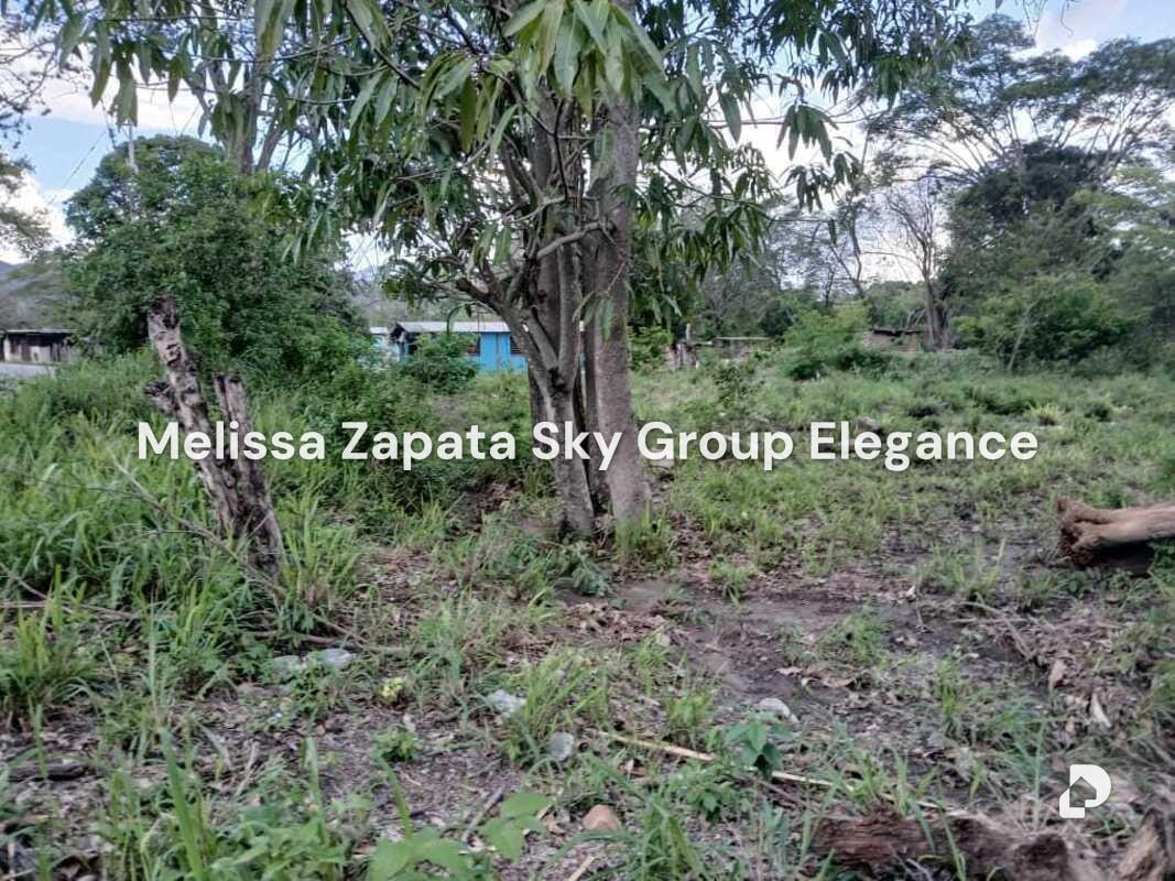 Terreno en Barquisimeto – 1