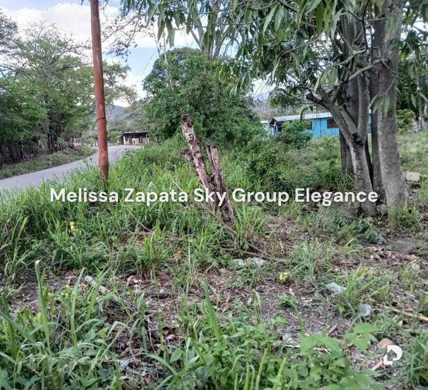 Terreno en Barquisimeto – 2