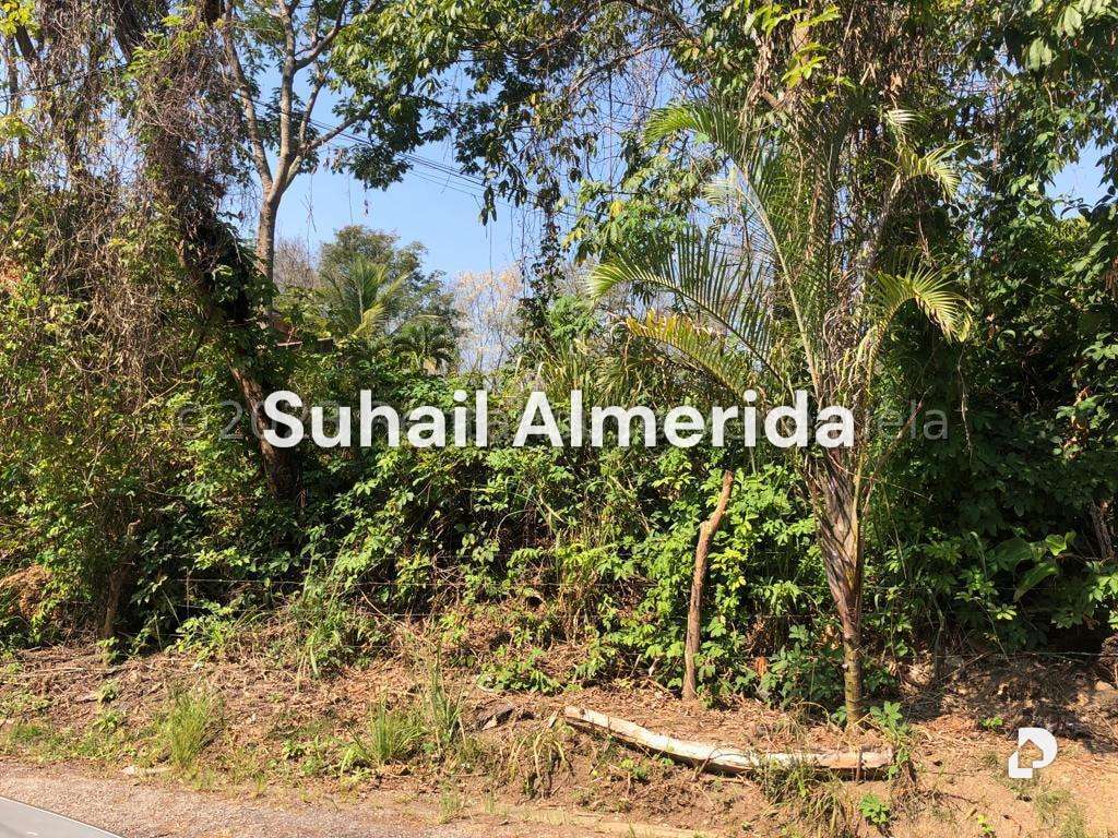 Terreno en Colinas de Guataparo, Valencia – 28