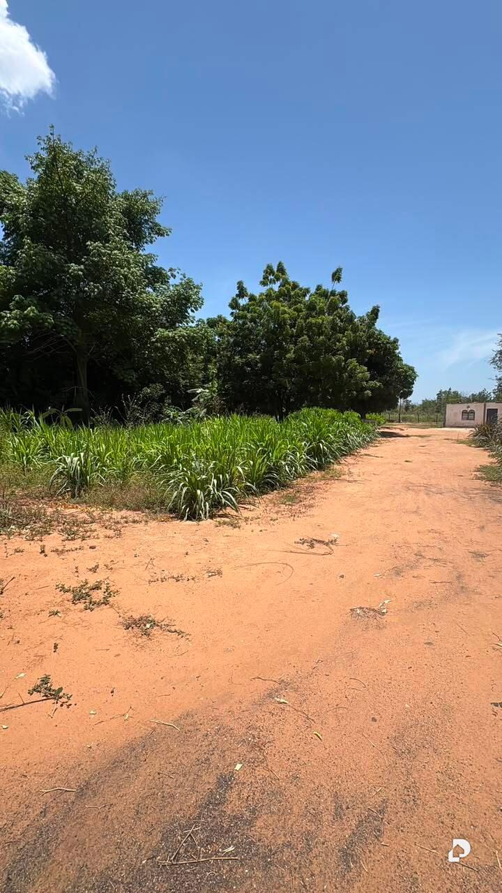 Terreno en Via Palito Blanco, Maracaibo – 4