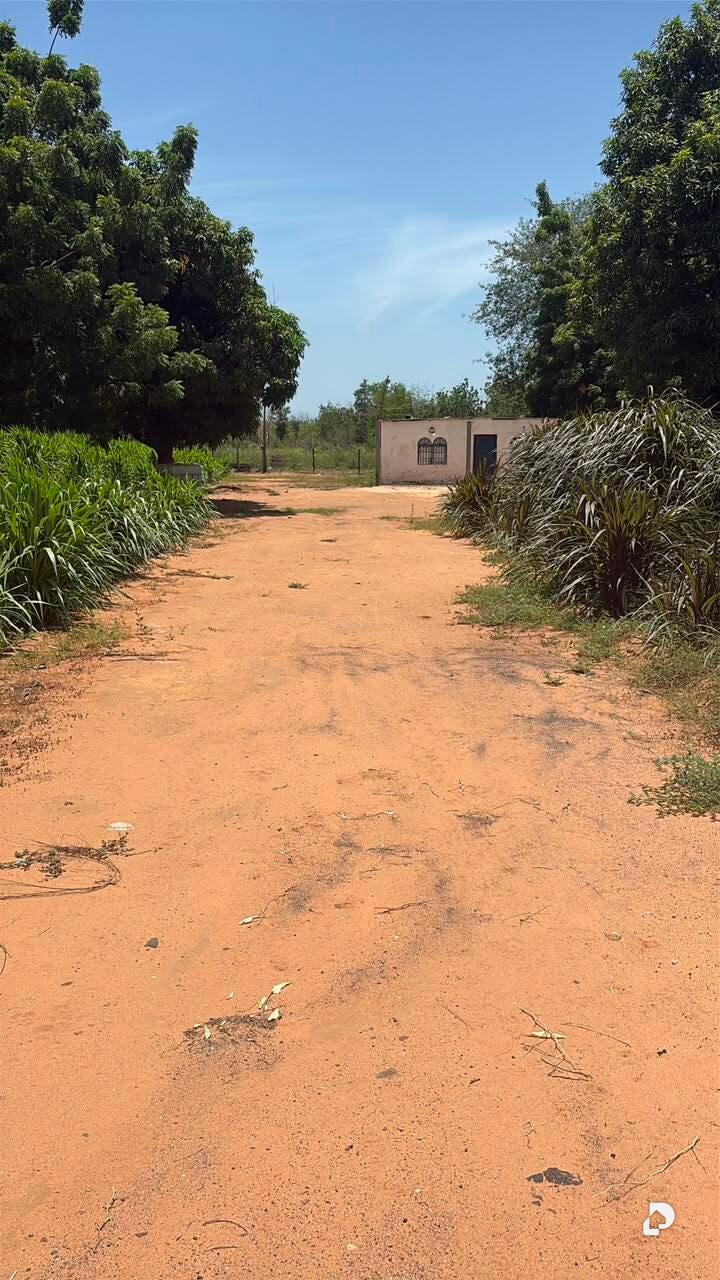 Terreno en Via Palito Blanco, Maracaibo – 1