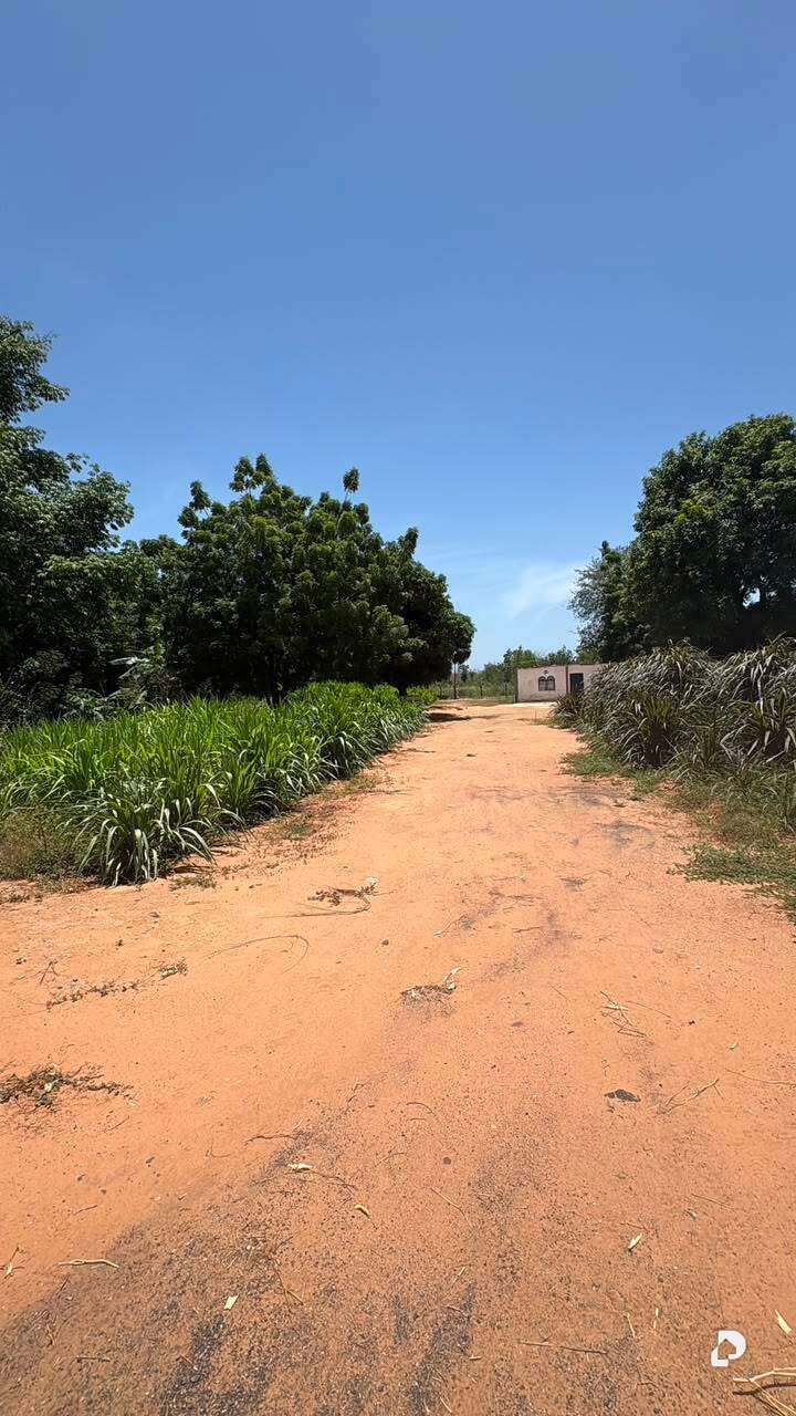 Terreno en Via Palito Blanco, Maracaibo – 2