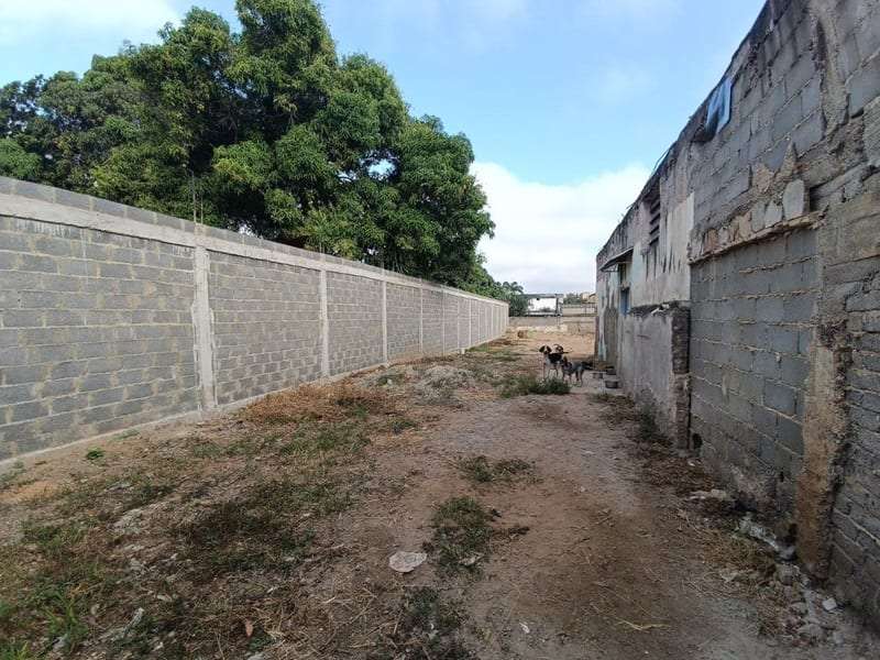Terreno en Barquisimeto - 1