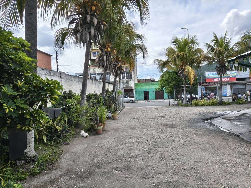 Local comercial en Barquisimeto - 1