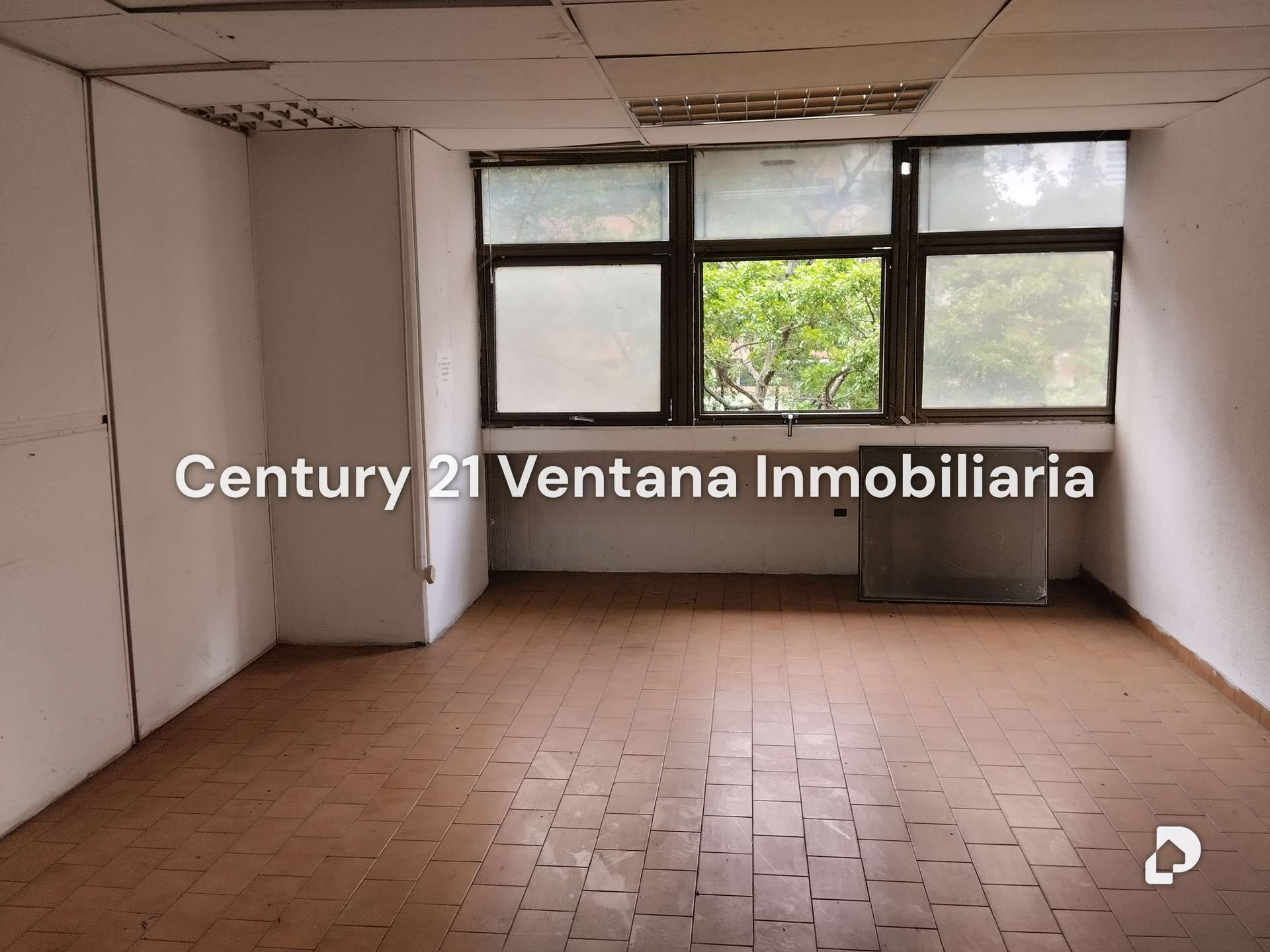 Oficina en Los Caobos, Caracas – 13