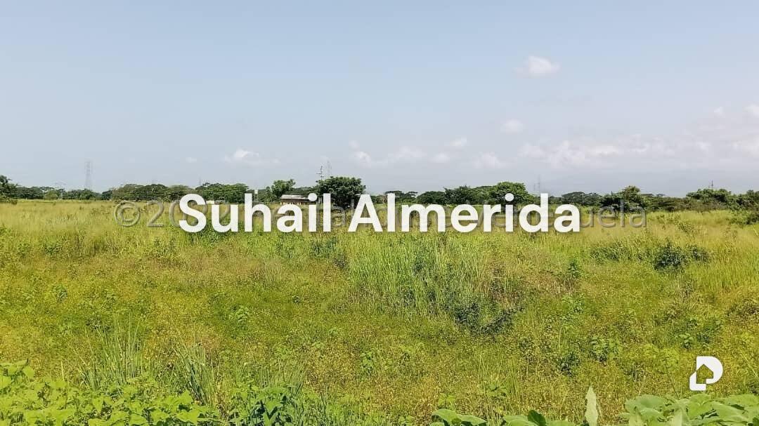 Terreno en Flor Amarillo, Valencia – 1