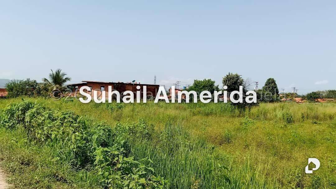 Terreno en Flor Amarillo, Valencia – 9