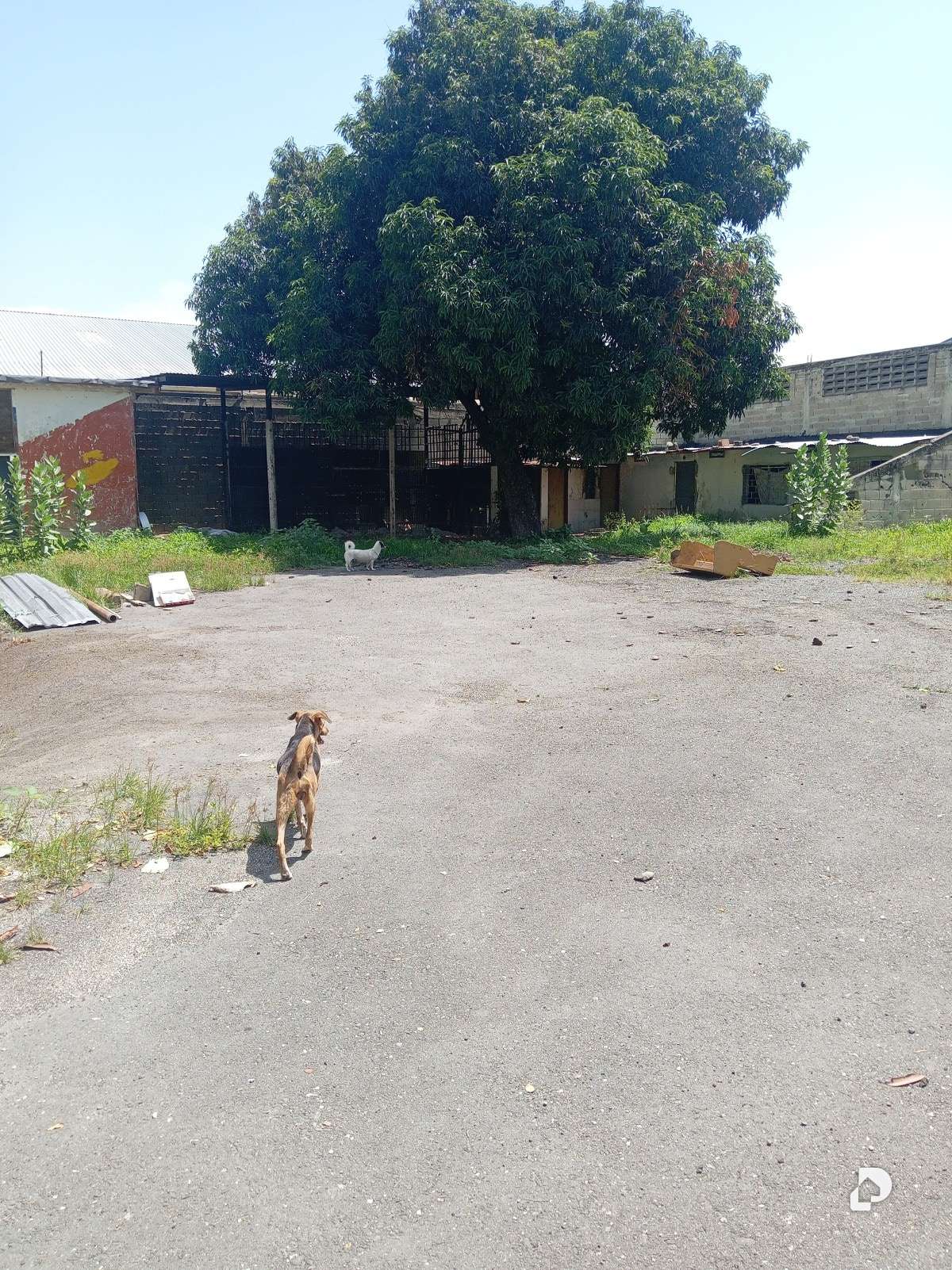 Galpón en Zona Industrial San Vicente., Maracay – 19