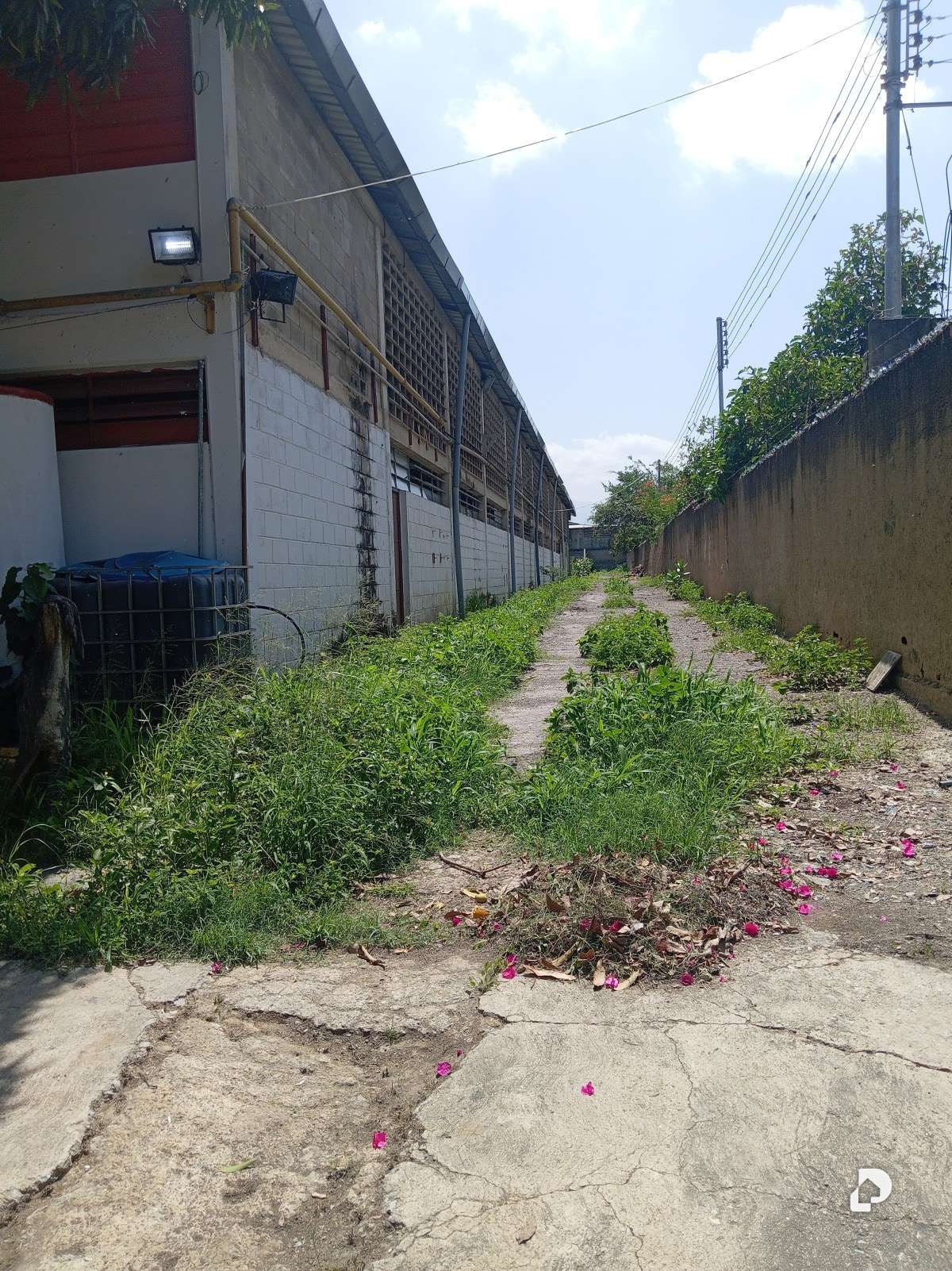 Galpón en Zona Industrial San Vicente., Maracay – 10