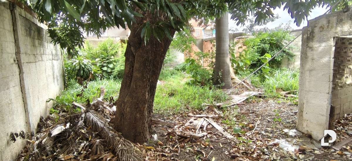 Casa en Centro, Cagua – 15