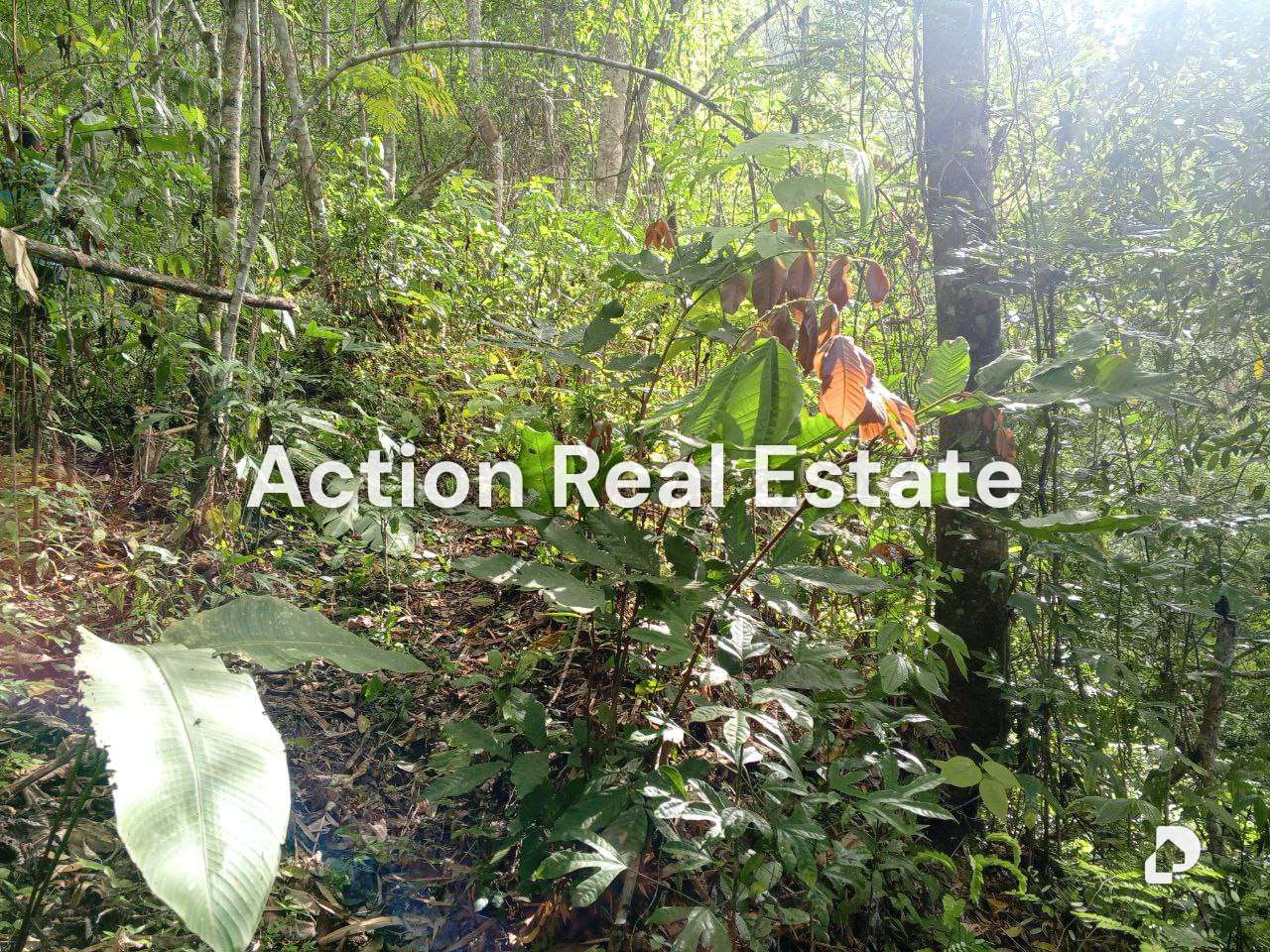 Terreno en Sabaneta, Caracas – 3
