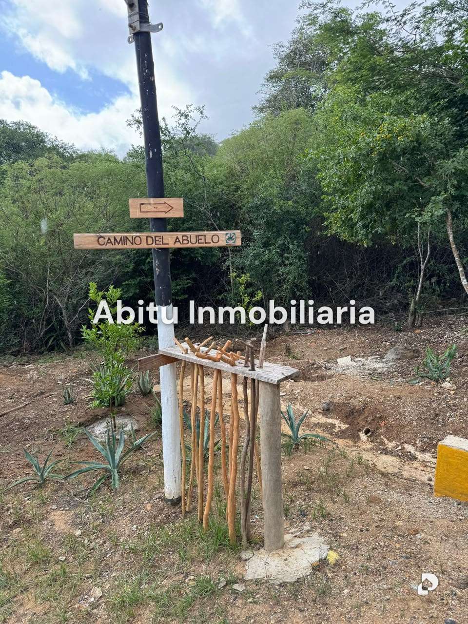 Terreno en Antolín del Campo, Margarita (noreste) – 9