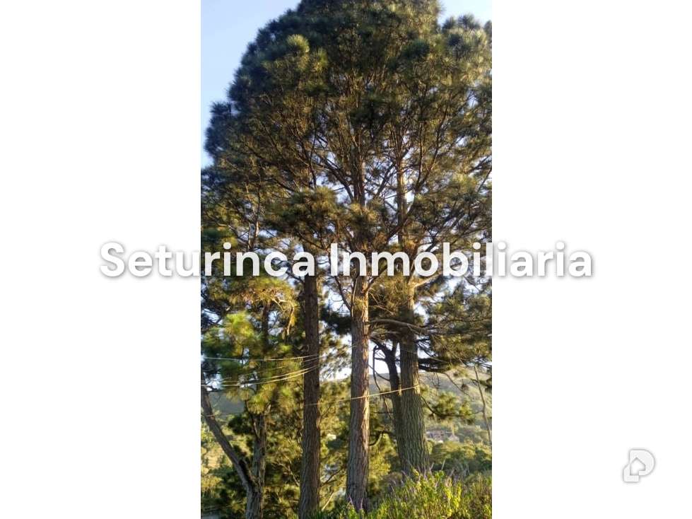 Terreno en El Junquito, Caracas – 10