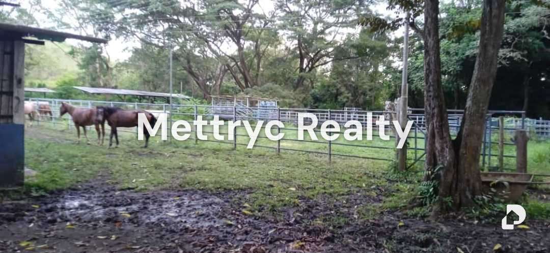 Finca en Las Mercedes Country, Tinaquillo – 10
