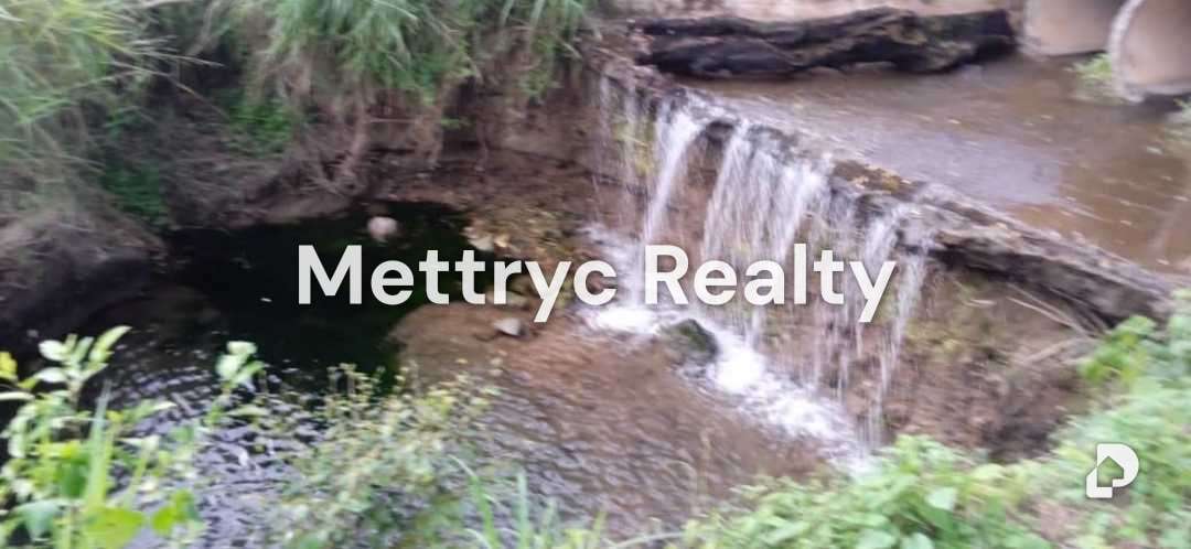 Finca en Las Mercedes Country, Tinaquillo – 11