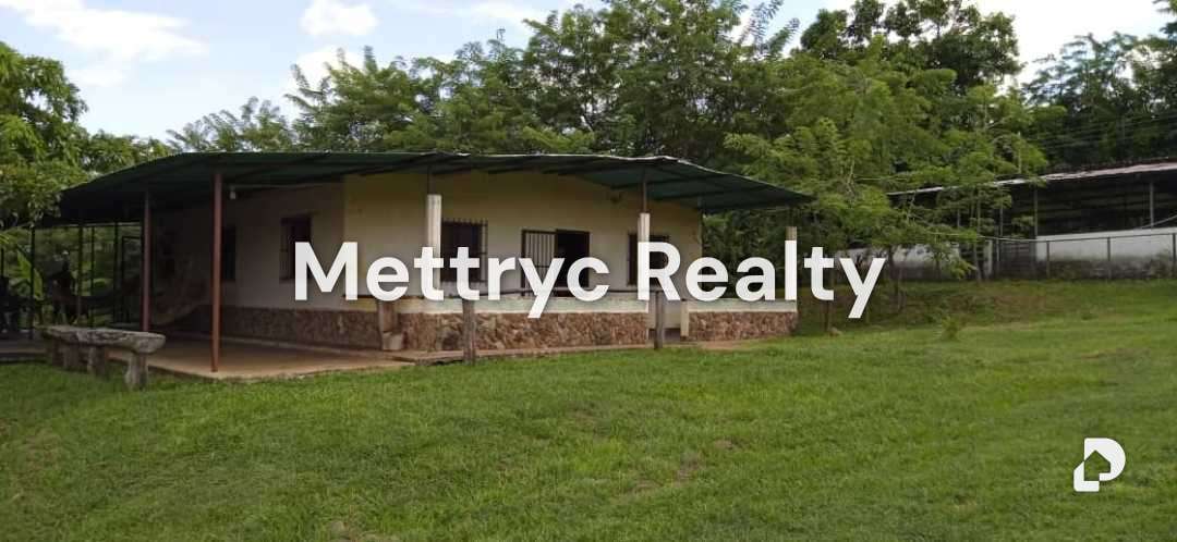 Finca en Las Mercedes Country, Tinaquillo – 2