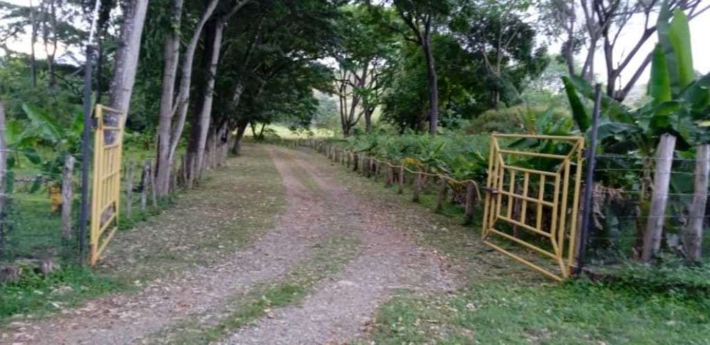 Finca en Las Mercedes Country, Tinaquillo - 1