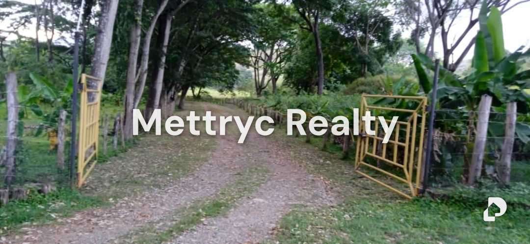 Finca en Las Mercedes Country, Tinaquillo – 1
