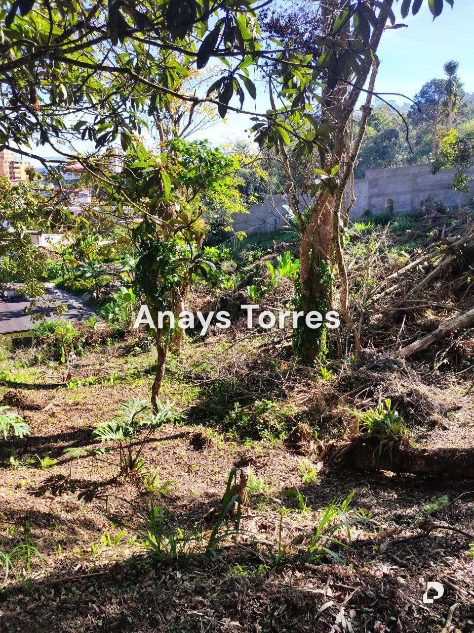 Terreno en San Antonio de Los Altos, Altos Mirandinos – 9