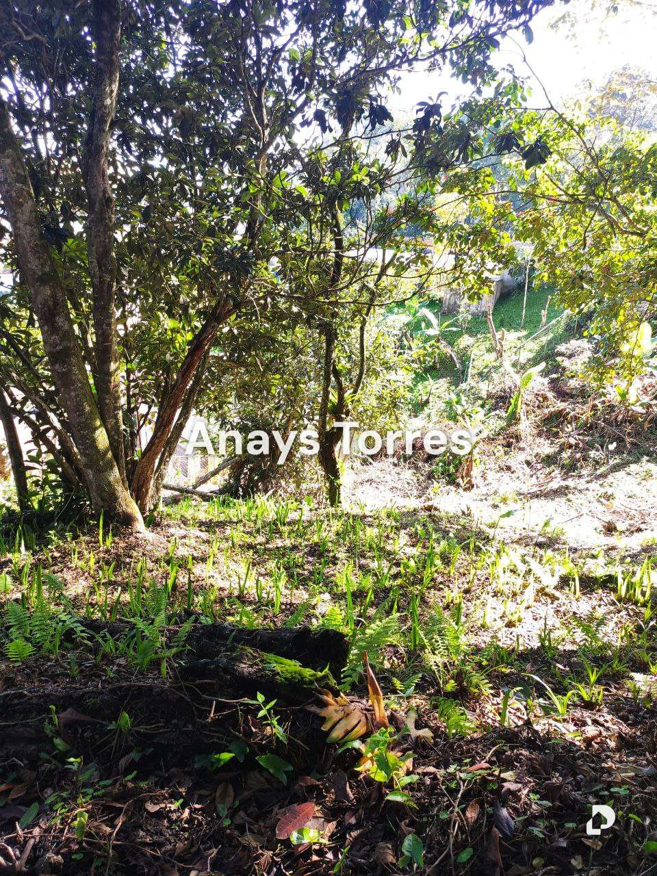 Terreno en San Antonio de Los Altos, Altos Mirandinos – 7