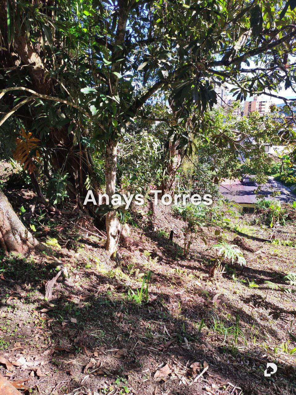 Terreno en San Antonio de Los Altos, Altos Mirandinos – 19