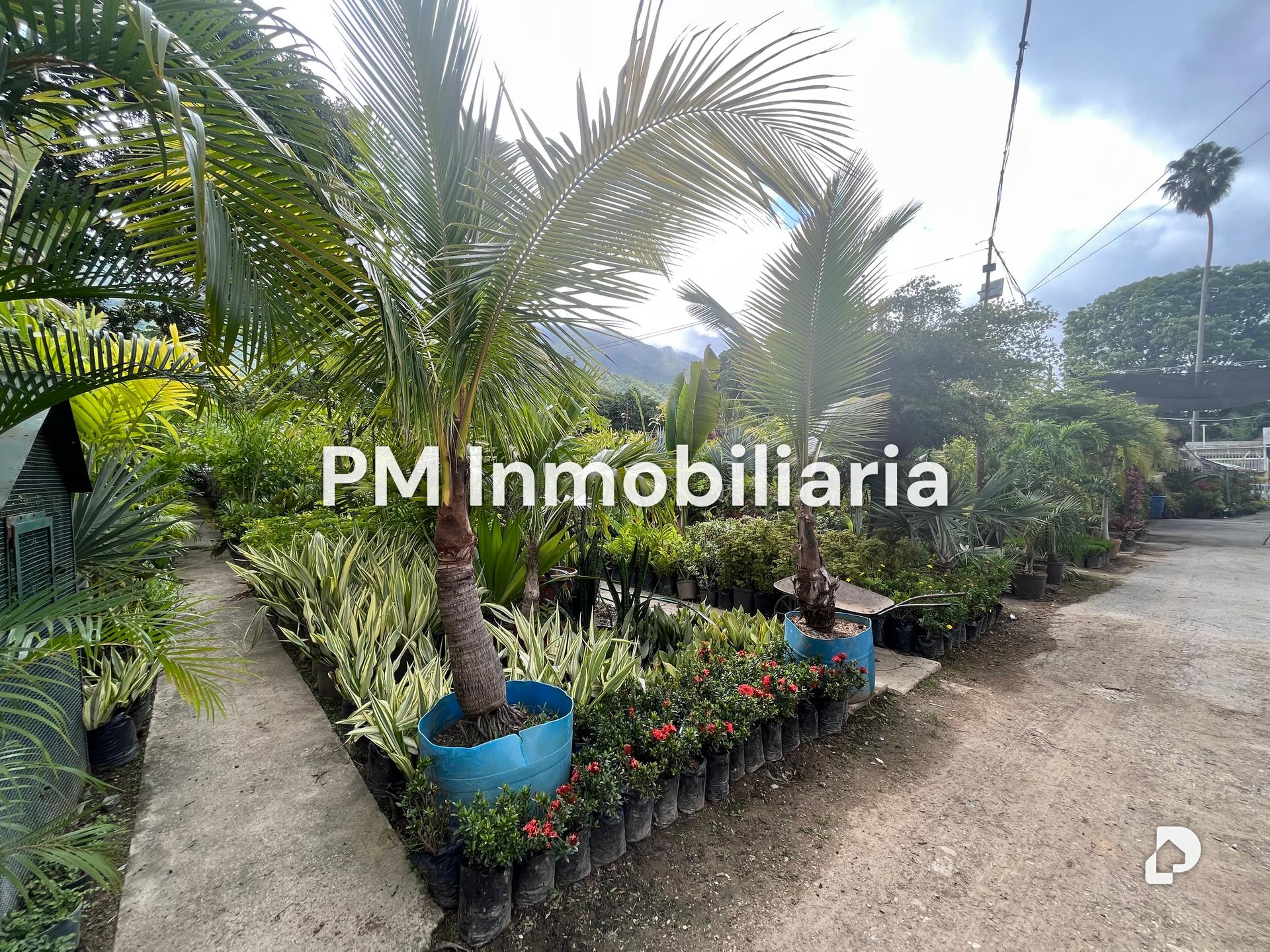 Terreno en Los Chorros, Caracas – 5