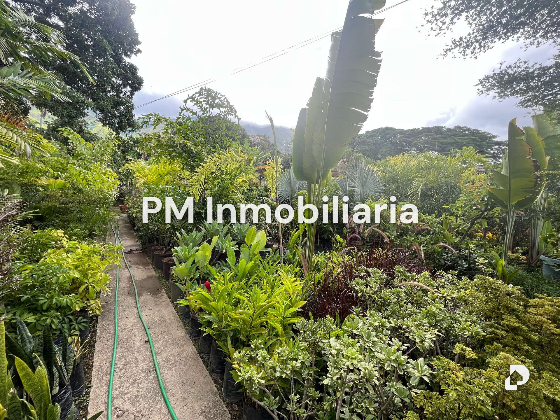 Terreno en Los Chorros, Caracas – 2