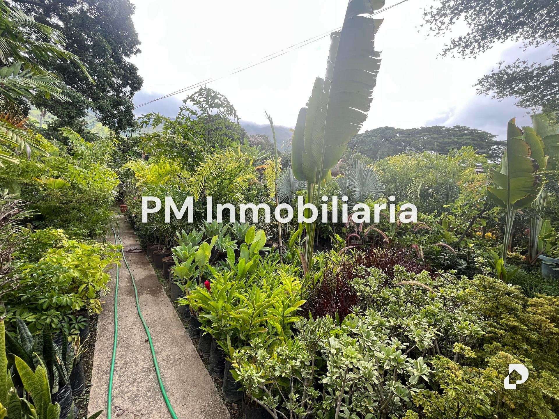 Terreno en Los Chorros, Caracas – 2